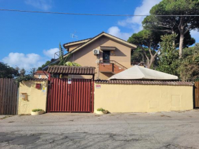 Travel Solution - SeaView & Roman Holidays Apartments - Garden&Beach 300mt